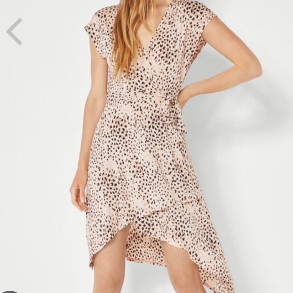 BCBGMaxAzria Painted Animal Print wrap around dress.